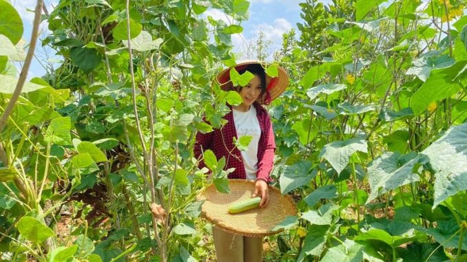 Giải mã trào lưu “Bỏ phố về quê” – Cơ hội đổi đời hay chỉ là ảo tưởng?